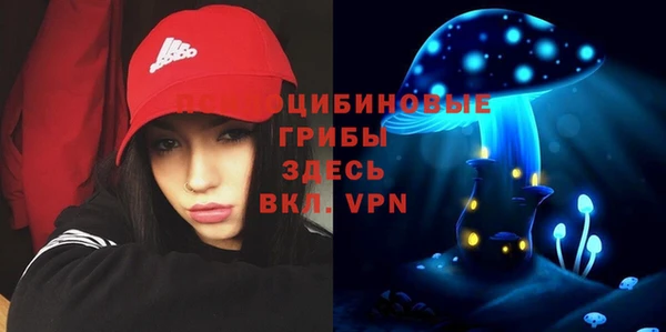 ешки Алексин