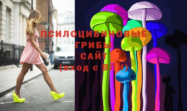 ешки Алексин