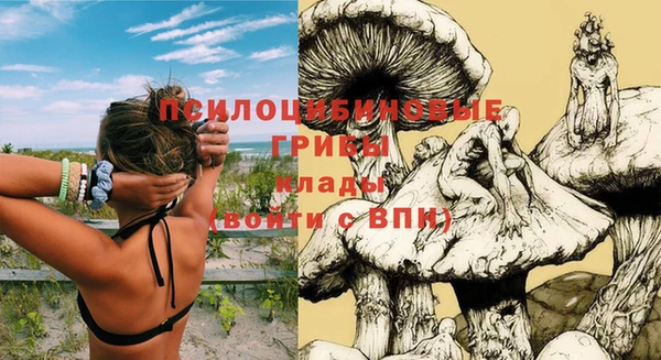ешки Алексин